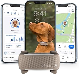 Dog wearing a GPS tracking collar outdoors
