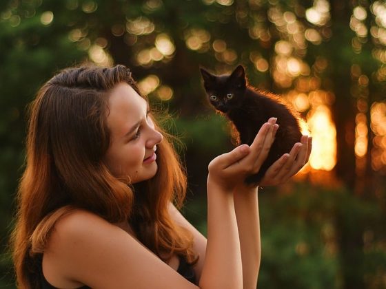 The Benefits of Traveling with Your Canine Companion