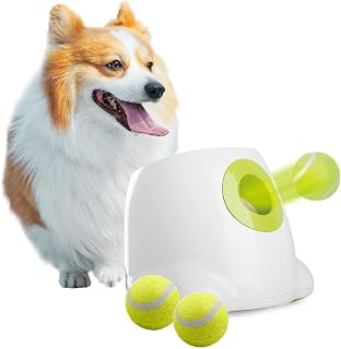 Dog playing with an automatic ball launcher