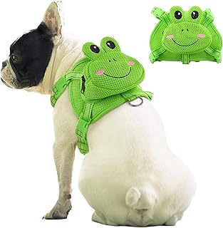 puppy with a cool backpack.