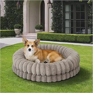 Dog orthopedic bed.