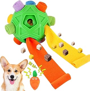 Interactive Puzzle Toy