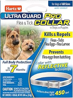 dog end puppies wearing flea and tick protection collar outdoor
