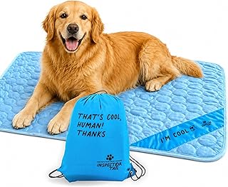 Dog relaxing on a cooling mat indoors during a heatwave.