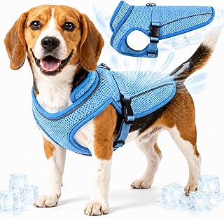Cooling vest for dog.