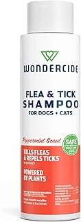 Dog-safe bug protection shampoo beside pet accessorie