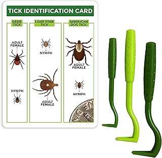 Removing tick safely from dog using tick removal tool