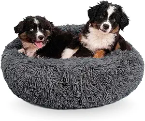 ortopedic puppy bed