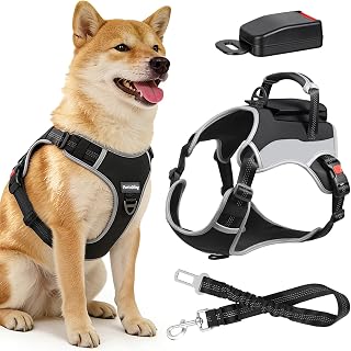 dog care harness.