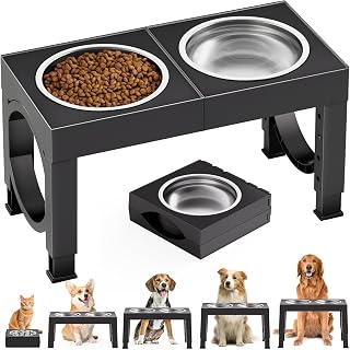 Elevated Food & Water Bowls.