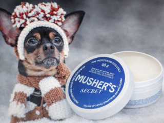 Best Paw Balm for Puppies – Gentle Protection for Sensitive Paw Pads