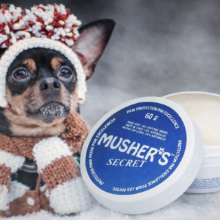 Best Paw Balm for Puppies – Gentle Protection for Sensitive Paw Pads