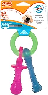 nylabone teething toy for puppies.