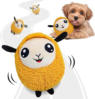 cheerful toy for a dog.