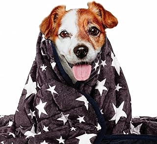 Calming blanket for dog