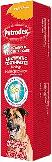 dog toothpaste