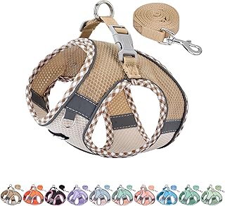 A Comfortable Adventure Harness.