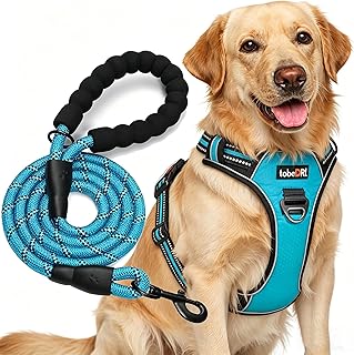 A Comfortable Adventure Harness.