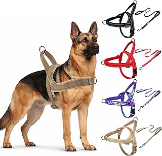 Front-clip dog harness.