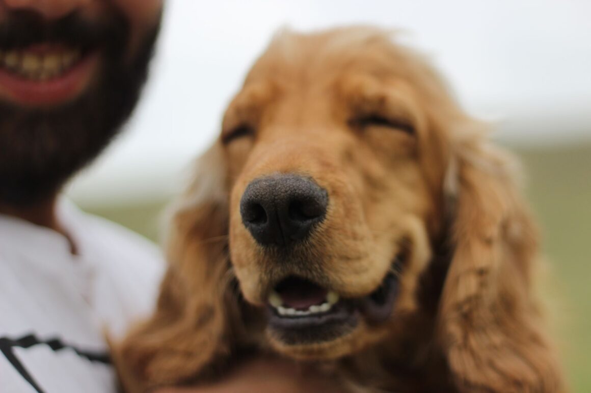 Happy dog and smile.