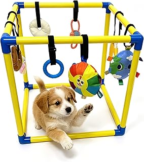 Puppy Play Gym