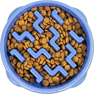 Slow Feeder Bowl.