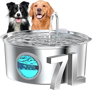 dog water fountain