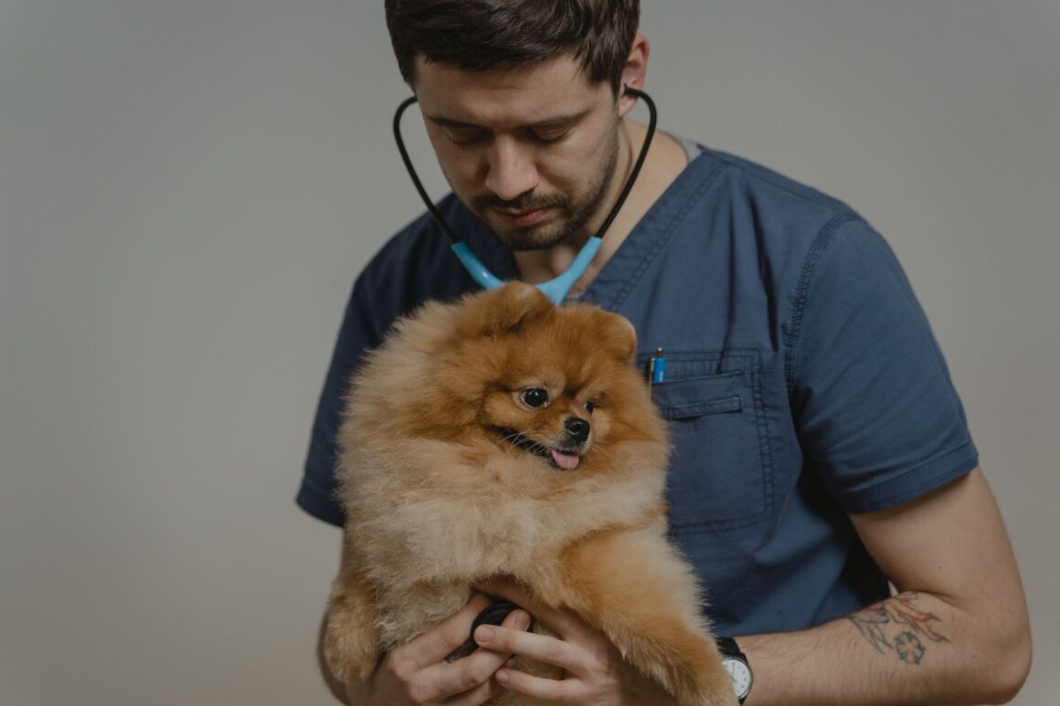 Is It Safe to Give Human Painkillers to Dogs? What Every Dog Owner Should Know