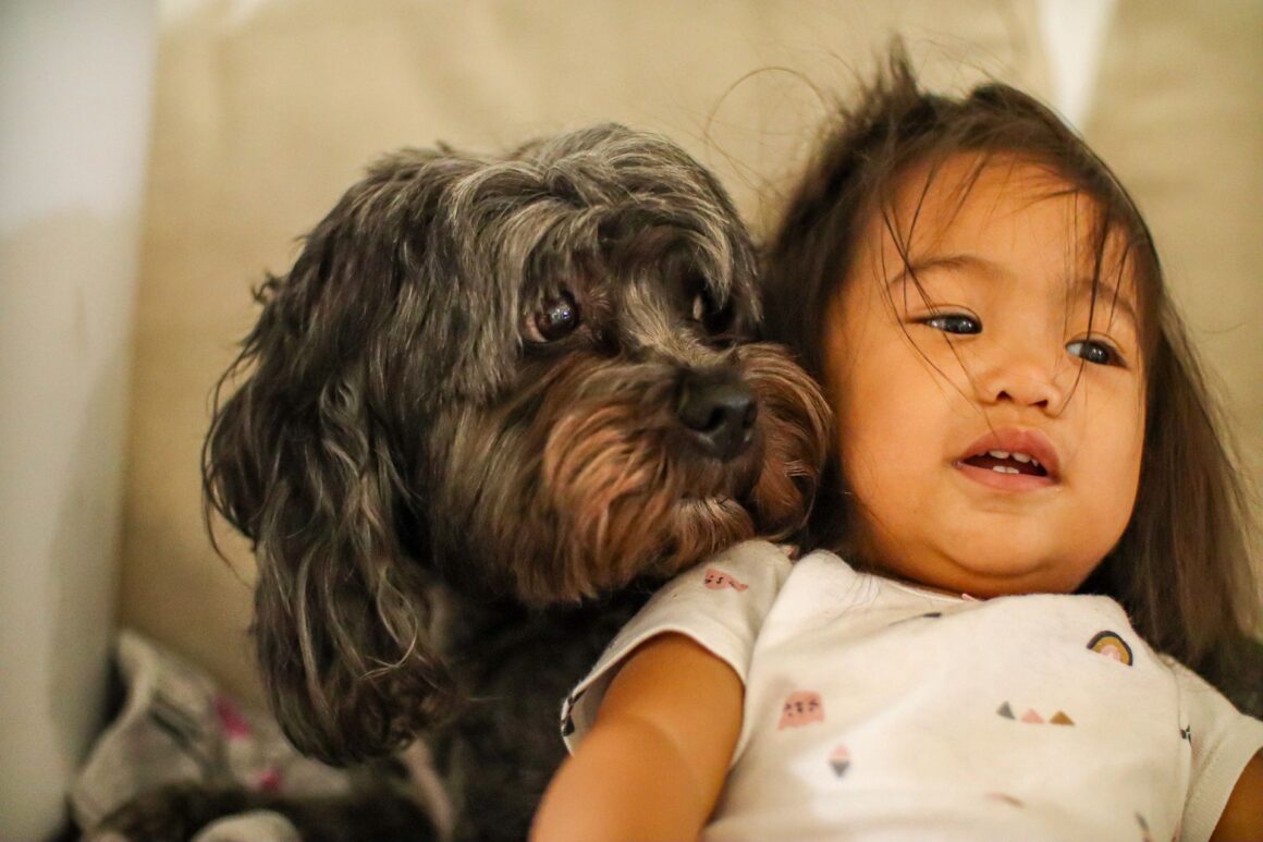 How Dogs Quietly Support and Protect Their Families Every Day