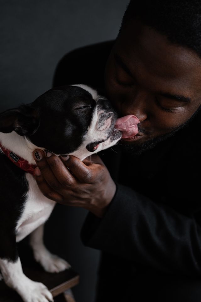 A loving dog chooses its human.